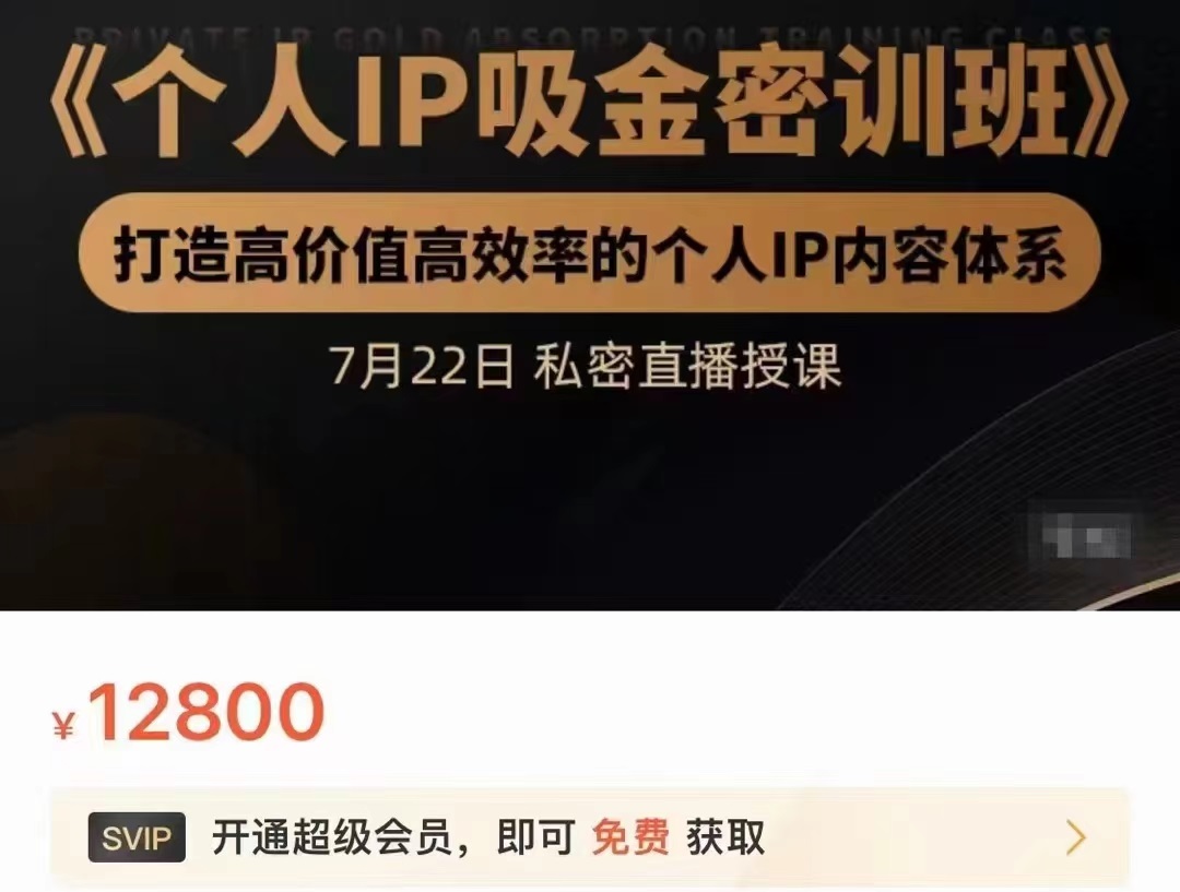 个人IP吸金密训班，打造高价值高效率的个人IP内容体系（价值12800元）-葛仙仙资源库