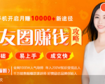 全网千万人气导师亲授:零基础/易上手的朋友圈赚钱攻略,让你轻松月入过万-葛仙仙资源库