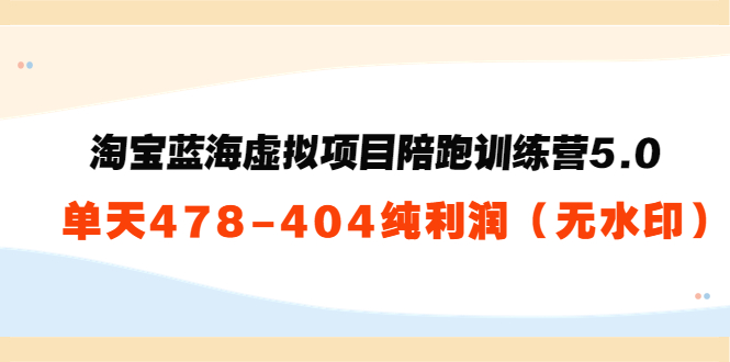 淘宝蓝海虚拟项目陪跑训练营5.0：单天478纯利润-葛仙仙资源库