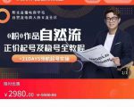 0粉0作品自然流正价起号及稳号全教程,专业自然流起号机构流程化教学(价值2980元)-葛仙仙资源库
