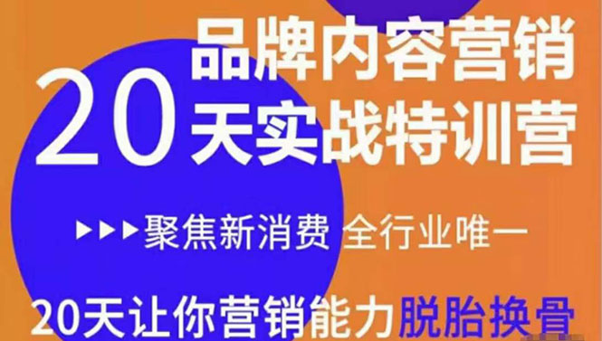 《内容营销实操特训营》20天让你营销能力脱胎换骨（价值3999）-葛仙仙资源库