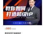 教你如何打造超级IP,抖音流量红利新机遇(价值980元)-葛仙仙资源库