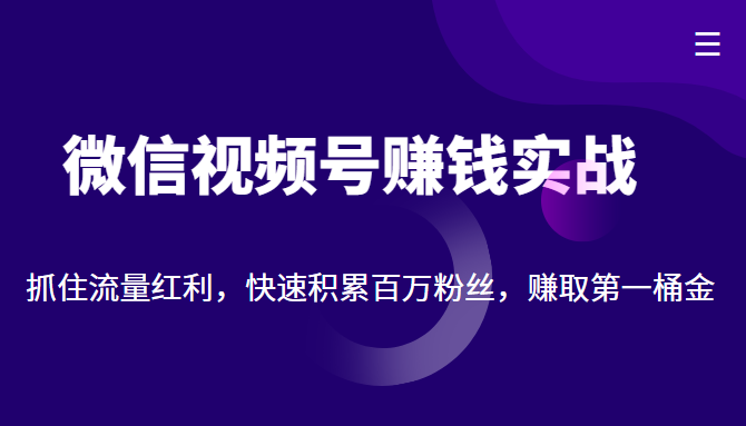 微信视频号赚钱实战：抓住流量红利，快速积累百万粉丝，赚取你的第一桶金-葛仙仙资源库