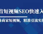 抖音短视频Seo搜索排名优化新手快速入门教程,实体商家短视频,精准引流实操课-葛仙仙资源库
