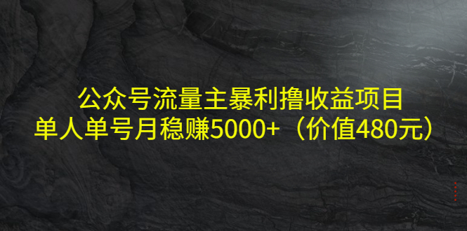 公众号流量主暴利撸收益项目，单人单号月稳赚5000+（价值480元）-葛仙仙资源库