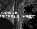 新媒体IP内训营(12期)，一套全新的“公域引流，私域成交”IP打法，直接带走-葛仙仙资源库