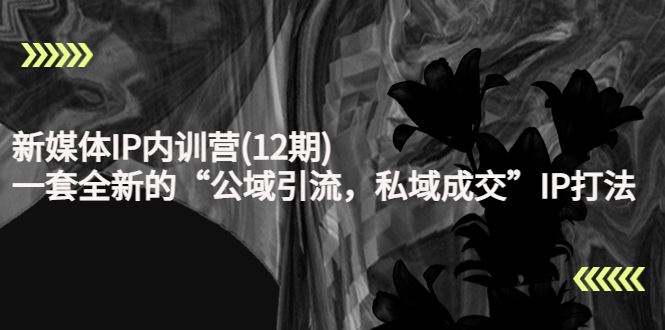 新媒体IP内训营(12期)，一套全新的“公域引流，私域成交”IP打法，直接带走-葛仙仙资源库