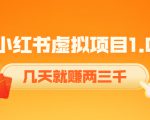 《小红书虚拟项目1.0》账号注册+养号+视频制作+引流+变现，几天就赚两三千-葛仙仙资源库