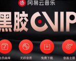 网易云音乐撸黑胶年卡及变现方法,收益可无限放大-葛仙仙资源库