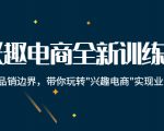 兴趣电商全新训练营:打破品销边界,带你玩转“兴趣电商“实现业务增长-葛仙仙资源库