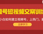 视频号短视频文案训练营:0基础小白如何建立视频号,上热门,能卖货!-葛仙仙资源库