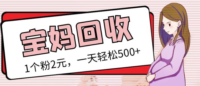最新小红书母婴号宝妈粉回收项目，1个粉2元，一天轻松500+案例分享【粉丝包回收】-葛仙仙资源库