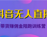 抖音无人直播带货赚佣金陪跑训练营（价值6980元）-葛仙仙资源库