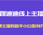 暴躁迪迪线上主播课,金牌主播教新手小白如何开播-葛仙仙资源库