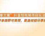 “毒文案”抖音短视频项目玩法，小程序拿图即可变现，复盘经验分享给大家-葛仙仙资源库