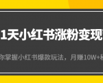 21天小红书涨粉变现营（第4期）：带你掌握小红书爆款玩法，月赚10W+秘密-葛仙仙资源库