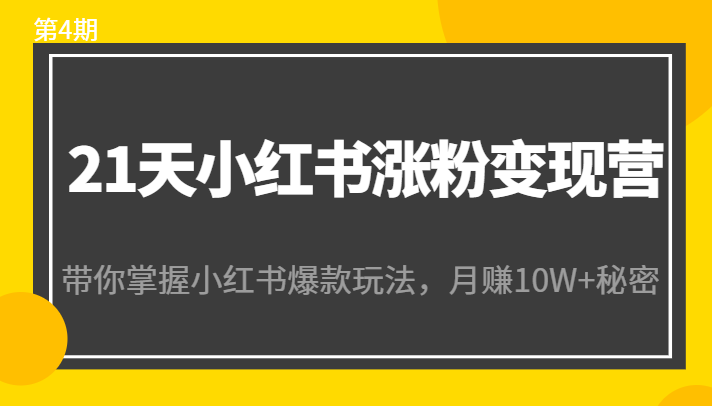 21天小红书涨粉变现营（第4期）：带你掌握小红书爆款玩法，月赚10W+秘密-葛仙仙资源库