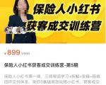 保险人小红书获客成交训练营,0基础高效玩转小红书,可复制的获客成交之路-葛仙仙资源库