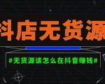 启哥抖店无货源店群陪跑计划,一个人在家就能做的副业,月入10000+-葛仙仙资源库