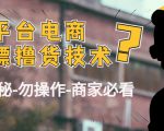外面收费2980的全平台电商白嫖撸货技术(仅揭秘勿操作-商家防范必看)-葛仙仙资源库