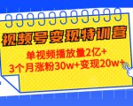 21天视频号变现特训营:单视频播放量2亿+3个月涨粉30w+变现20w+(第14期)-葛仙仙资源库