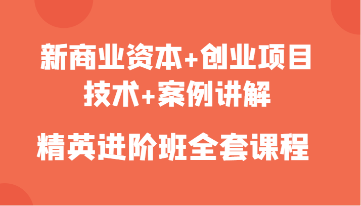 新商业资本+创业项目，技术+案例讲解，精英进阶班全套课程-葛仙仙资源库