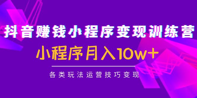 抖音赚钱小程序变现训练营：小程序月入10w+各类玩法运营技巧变现-葛仙仙资源库