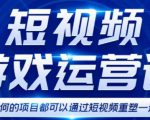 短视频游戏赚钱特训营，0门槛小白也可以操作，日入1000+-葛仙仙资源库