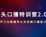 镜头口播特训营2.0版，学习文案编导以及拍摄口播能力（50节课时）-葛仙仙资源库