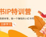 小红书IP特训营:从搭建-制作-爆款脚本等等,做一个赚钱的小红书号-葛仙仙资源库