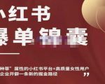 小红书爆单锦囊,自带种草属性+高质量女性用户,为你的企业开辟一条新的掘金路径-葛仙仙资源库