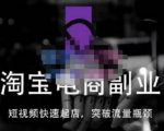 蓝Sir派·淘宝短视频快速起店,替代传统搜索方式,学会做一个不一样的淘宝店-葛仙仙资源库