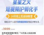 瑶瑶·自然流短视频IP孵化第二期，14天线上实战训练营，赋能100个人成为有数据能赚钱的独立IP孵化手-葛仙仙资源库