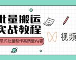 视频号批量搬运实战操作运营赚钱教程,傻瓜式批量制作高质量内容【附视频教程+PPT】-葛仙仙资源库