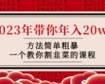 韭菜-联盟·2023年带你年入20w+方法简单粗暴,一个教你割韭菜的课程-葛仙仙资源库