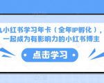 厦九九小红书学习年卡（全年IP孵化），沉浸式学习，一起成为有影响力的小红书博主-葛仙仙资源库
