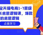 大圣淘宝天猫电商1-7层级盈利增长底层逻辑课,爆款的底层逻辑-葛仙仙资源库