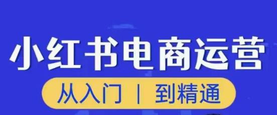 顽石小红书电商高阶运营课程，从入门到精通，玩法流程持续更新-葛仙仙资源库