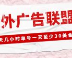 外面收费1980的最新国外LEAD广告联盟搬砖项目,单号一天至少30美金【详细玩法教程】-葛仙仙资源库