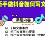 新手做抖音如何写文案,手把手实操如何拆解热门文案-葛仙仙资源库