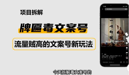 2023抖音快手毒文案新玩法，牌匾文案号，起号快易变现-葛仙仙资源库