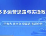 拼多多店铺运营思路与实操教程,快速学会拼多多开店和运营,少踩坑,多盈利-葛仙仙资源库