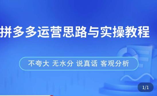 拼多多店铺运营思路与实操教程，快速学会拼多多开店和运营，少踩坑，多盈利-葛仙仙资源库