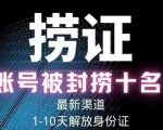 2023年最新抖音八大技术，一证多实名，秒注销，断抖破投流，永久捞证，钱包注销，跳人脸识别，蓝V多实-葛仙仙资源库