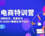 美团电商特训营:美团·店群玩法,无脑铺货月产出6000-15000+精细化月产2w+-葛仙仙资源库