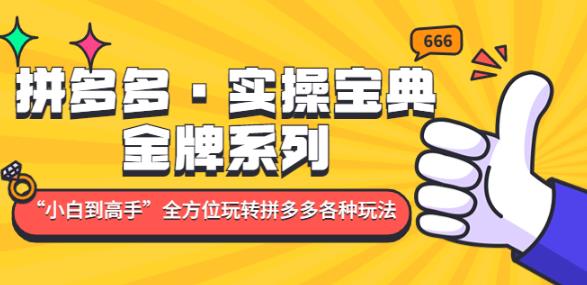拼多多·实操宝典：金牌系列“小白到高手”带你全方位玩转拼多多各种玩法-葛仙仙资源库