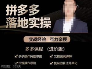 拼多多实战篇·落地实操:多多操作完整思路+实操案例讲解+拆解操作思路+复杂的算法简单化-葛仙仙资源库