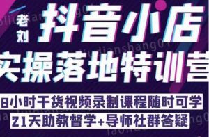抖音小店实操落地特训营:抖音小店无货源精细化运营,抖店商品卡流量(22节)-葛仙仙资源库