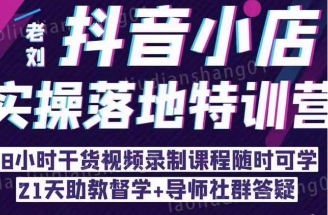 抖音小店实操落地特训营：抖音小店无货源精细化运营，抖店商品卡流量（22节）-葛仙仙资源库