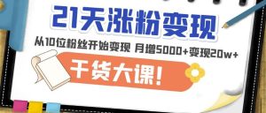 21天精准涨粉变现干货大课:从10位粉丝开始变现月增5000+变现20w+-葛仙仙资源库